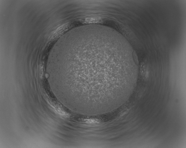 X0000078020741200611031455