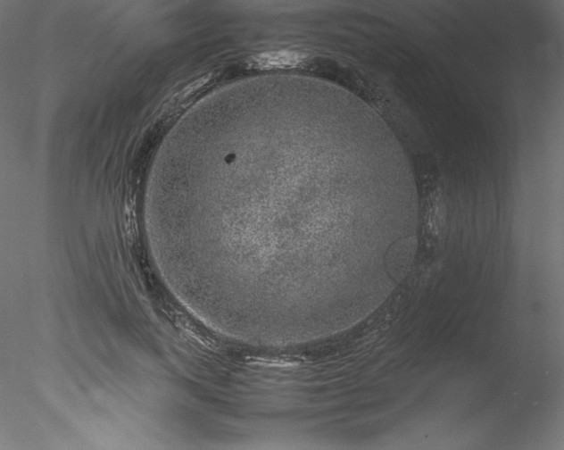 X0000078020743200611031455