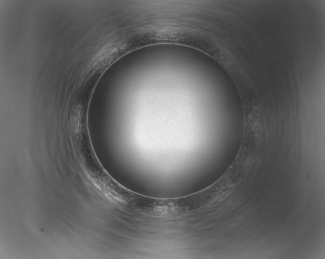 X0000078020744200611031455