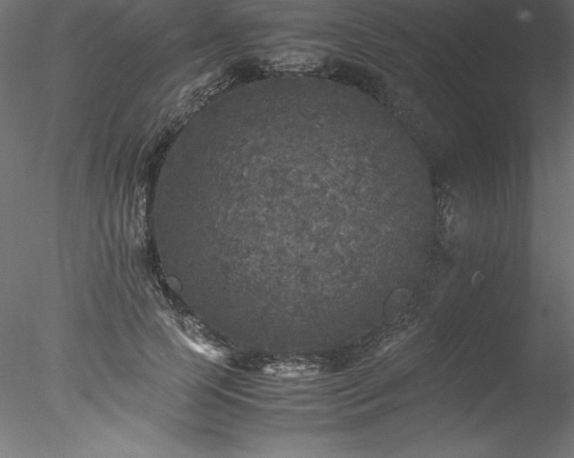 X0000078020745200611031455