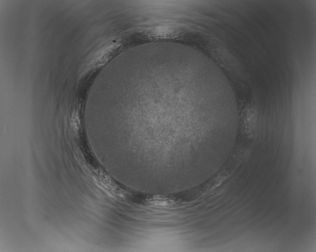 X0000078020746200611031455