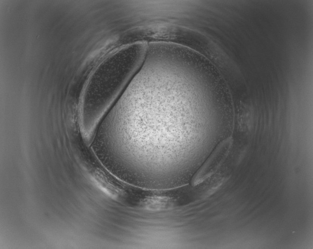 X0000078020748200611031455