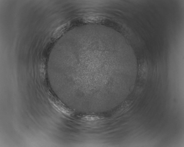 X0000078020749200611031456