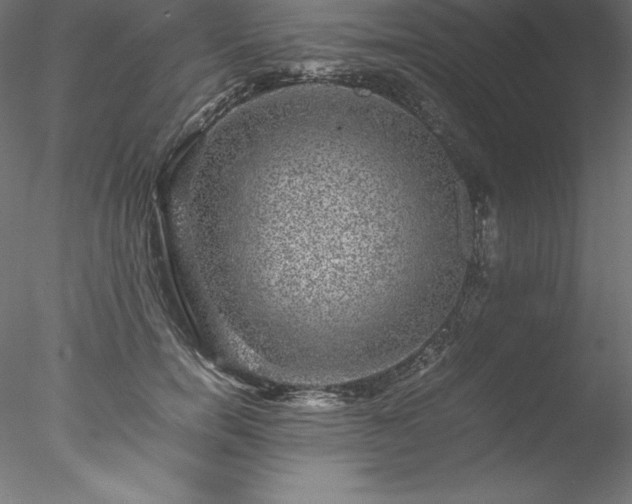 X0000078020750200611031456