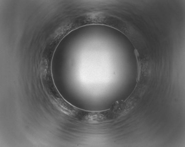 X0000078020752200611031456