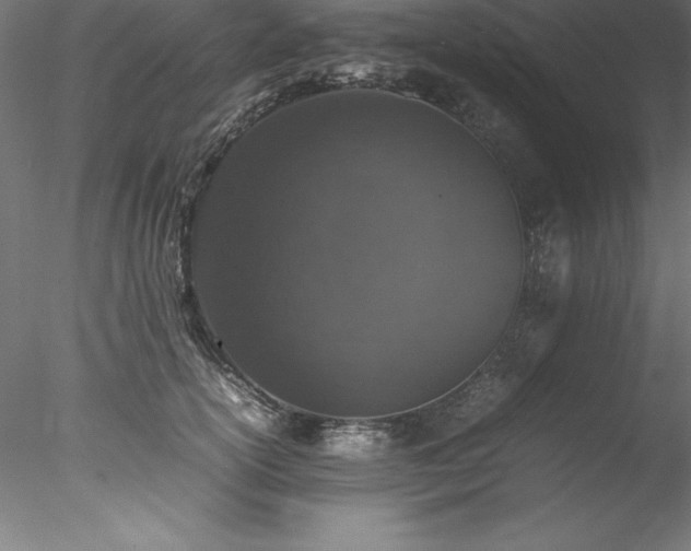 X0000078020754200611031456