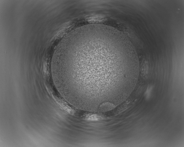 X0000078020755200611031456