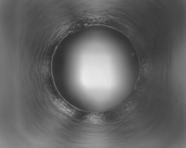 X0000078020756200611031456