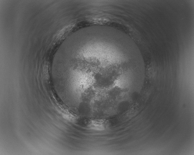 X0000078020757200611031456