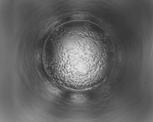 X0000078020759200611031456