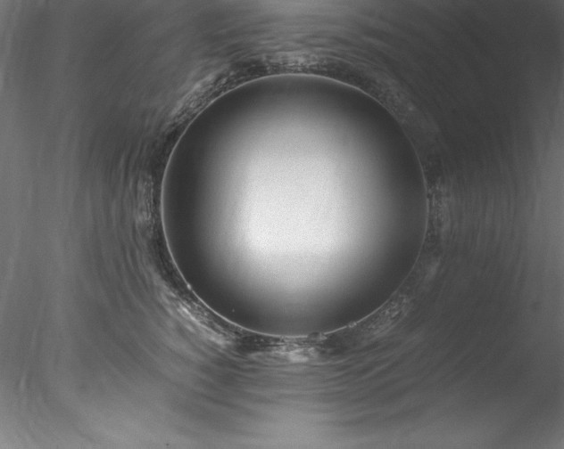 X0000078020760200611031456