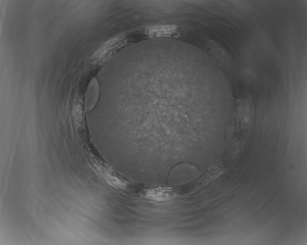 X0000078020761200611031456