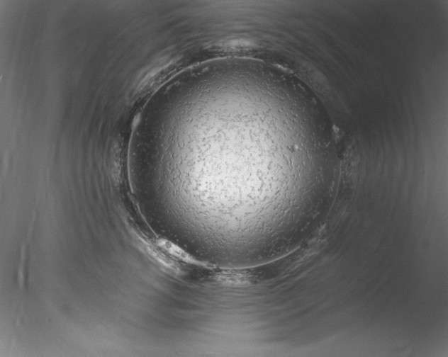 X0000078020762200611031456