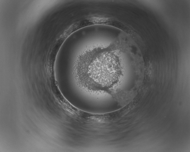 X0000078020763200611031456