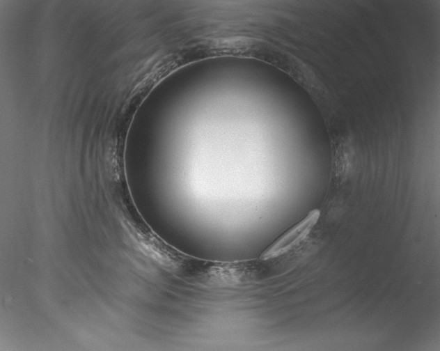 X0000078020764200611031456