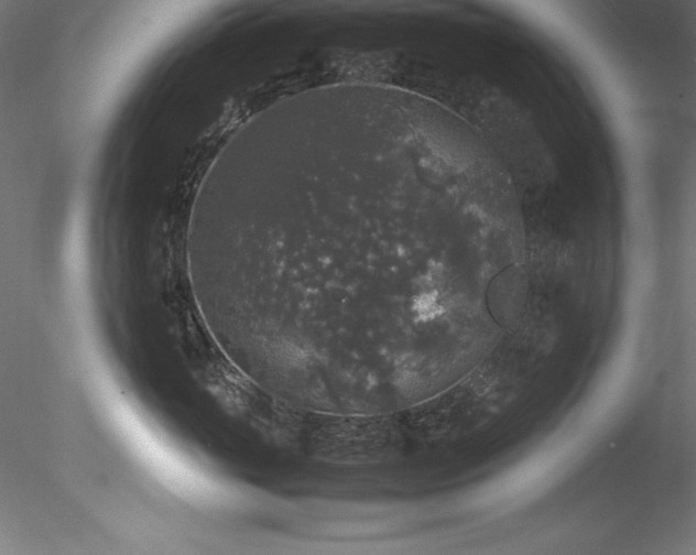 X0000078020765200611031456