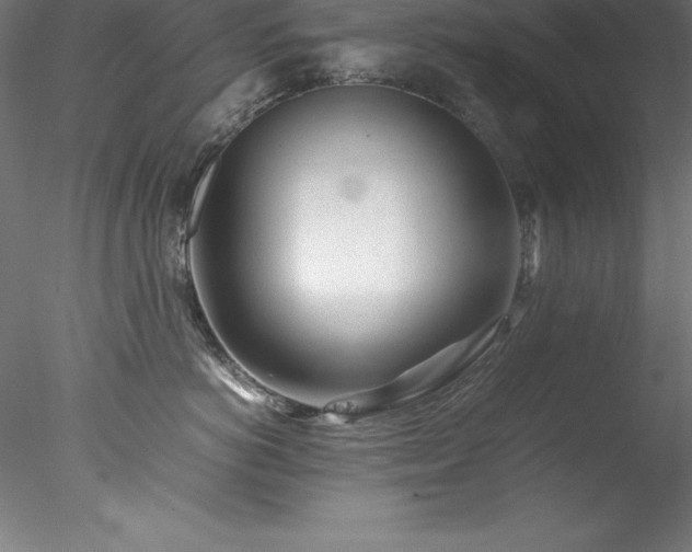 X0000078020766200611031456