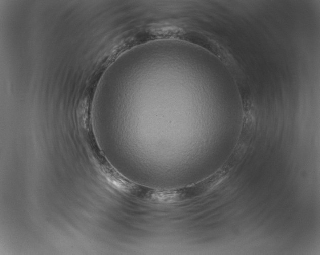 X0000078020767200611031456