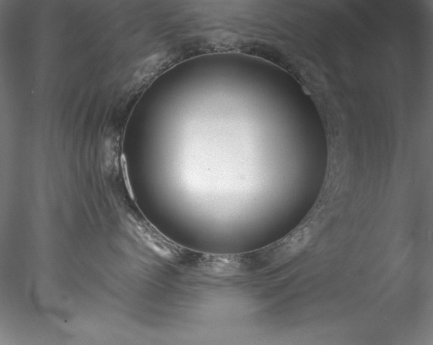 X0000078020768200611031456