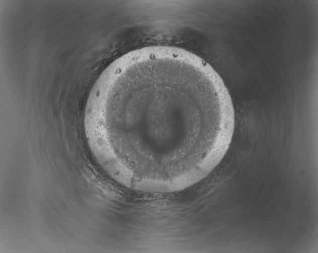 X0000078020769200611031455