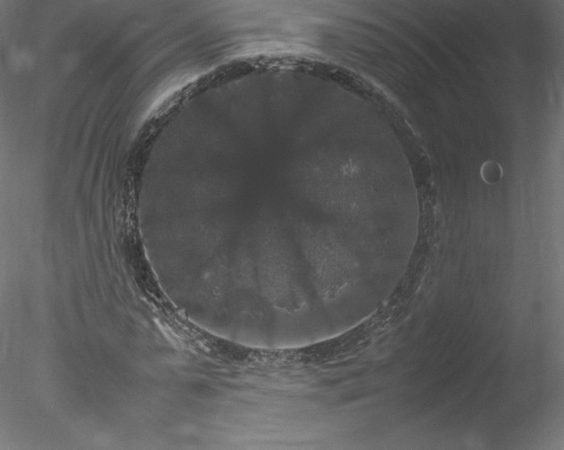 X0000078020775200611031455