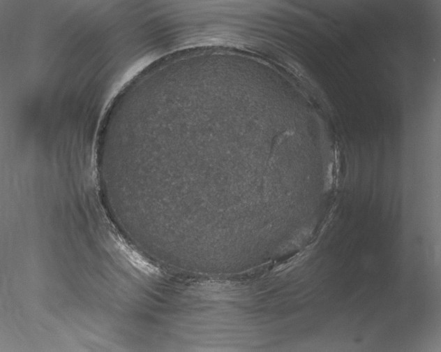 X0000078020780200611031455