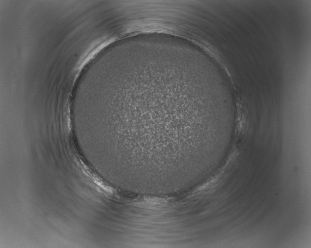 X0000078020782200611031455