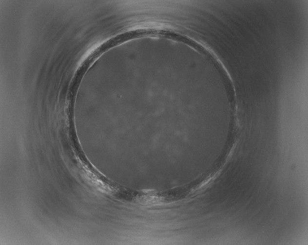 X0000078020783200611031455