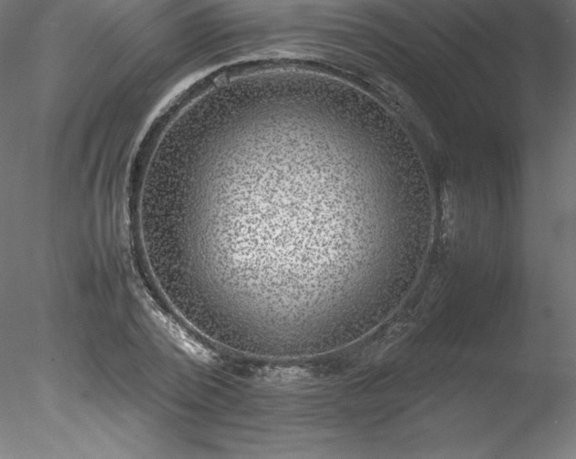 X0000078020784200611031455