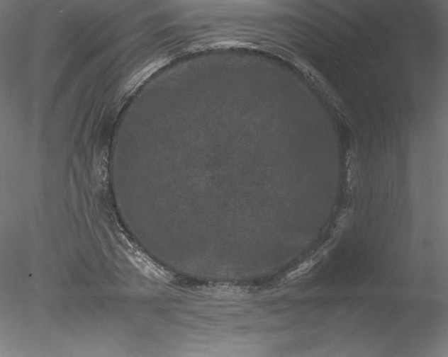 X0000078020785200611031455