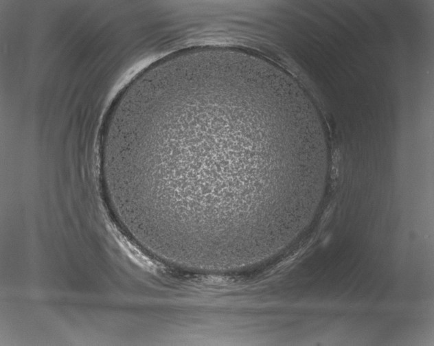 X0000078020787200611031455