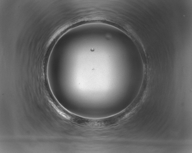 X0000078020789200611031455