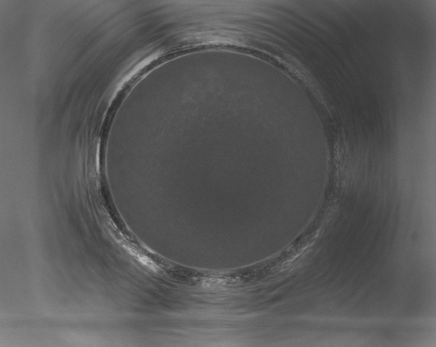 X0000078020790200611031455