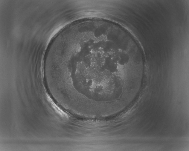 X0000078020791200611031455