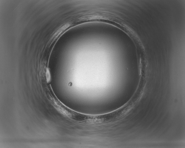 X0000078020793200611031455