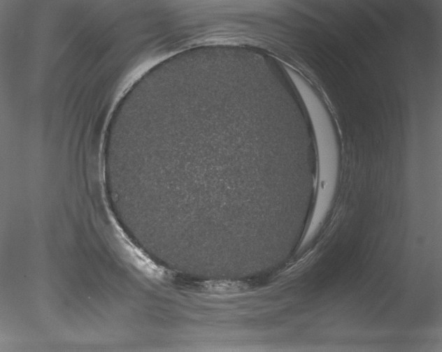 X0000078020795200611031455