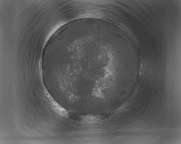 X0000078020796200611031455