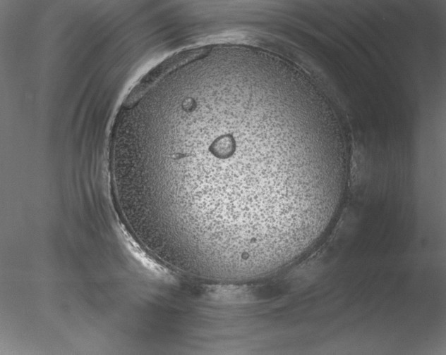 X0000078020800200611031454