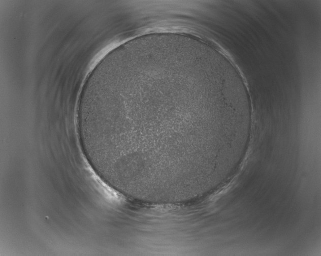 X0000078020803200611031454