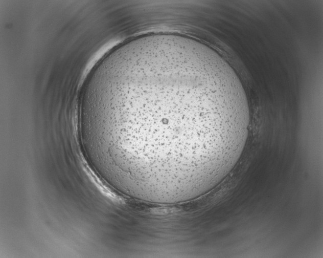 X0000078020804200611031454