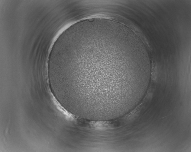 X0000078020808200611031454