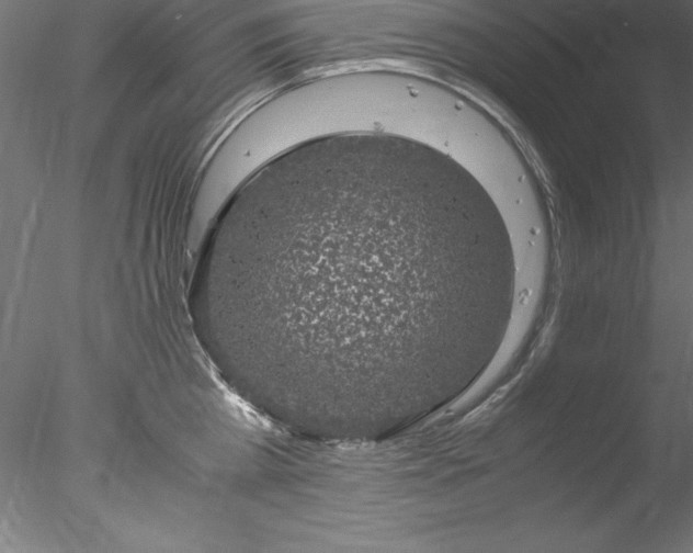 X0000078020809200611031454