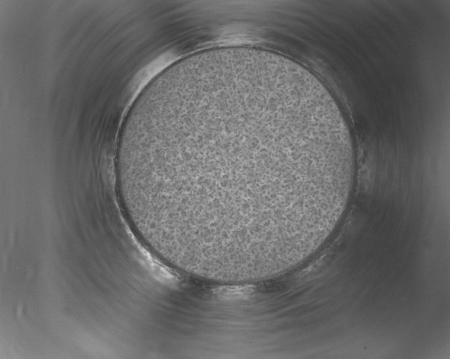 X0000078020810200611031454