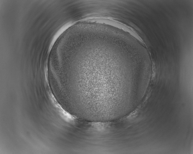 X0000078020812200611031454