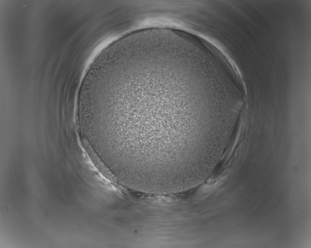 X0000078020815200611031454