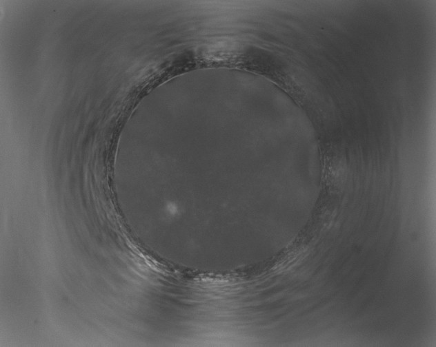 X0000078020817200611031453