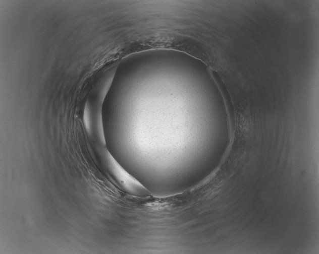 X0000078020818200611031453