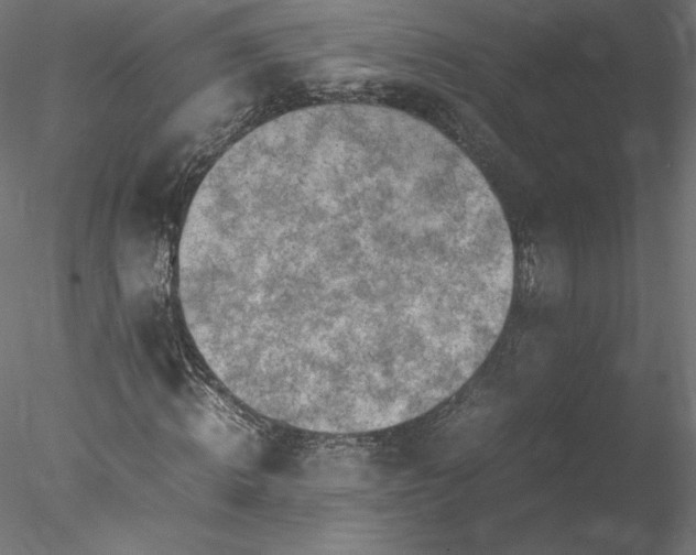 X0000078020820200611031453