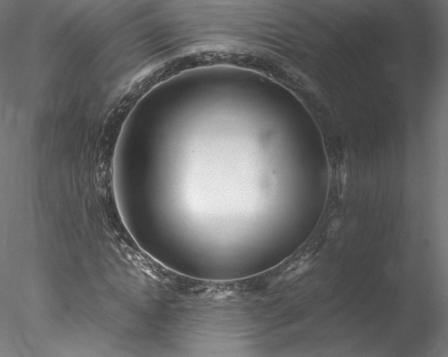 X0000078020822200611031454