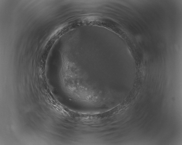 X0000078020823200611031454